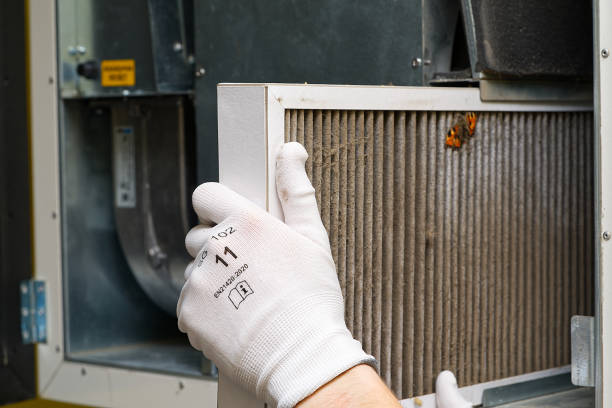 Best Commercial Air Duct Cleaning  in Borrego Springs, CA